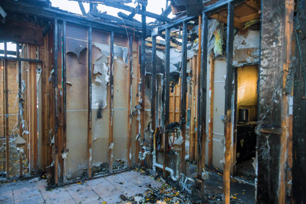 Professional Smoke Damage Removal technician working in Frederick, PA